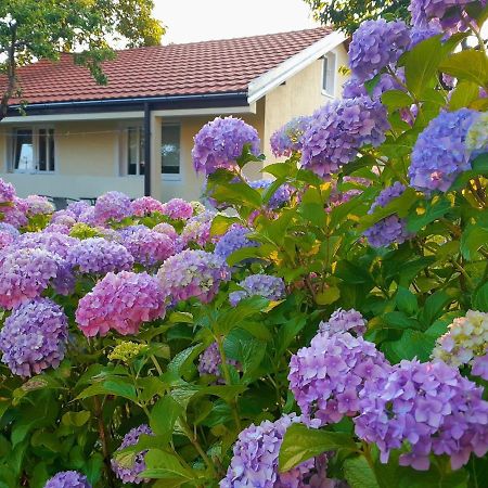 Cvjetni Apartmani Cetinje Ngoại thất bức ảnh